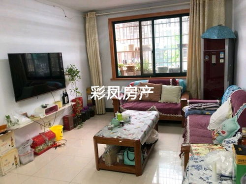 紹興柯橋彩彩信息咨詢服務部 專業信息咨詢服務的橋梁